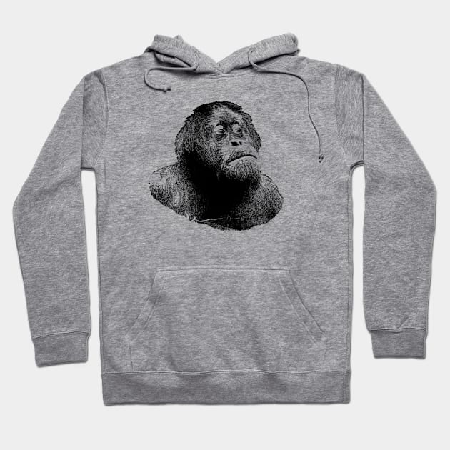 Orangutan Hoodie by Guardi